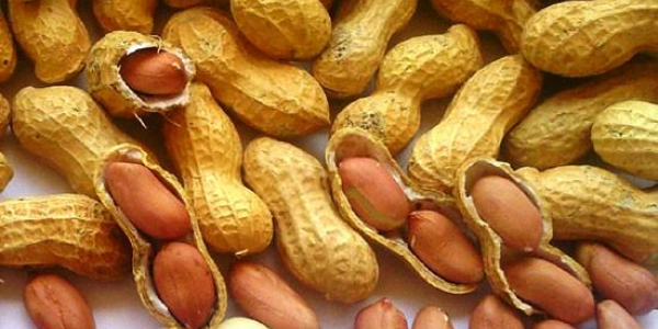 Salute, proprietà e benefici delle arachidi: 4 buoni motivi per implementarle alla tua dieta